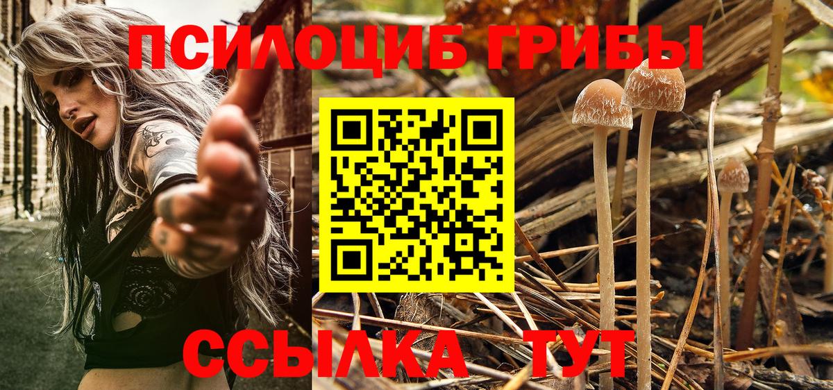 Псилоцибиновые грибы GOLDEN TEACHER  Псилоцибиновые грибы Magic Shrooms  Вход с VPN  Донской 